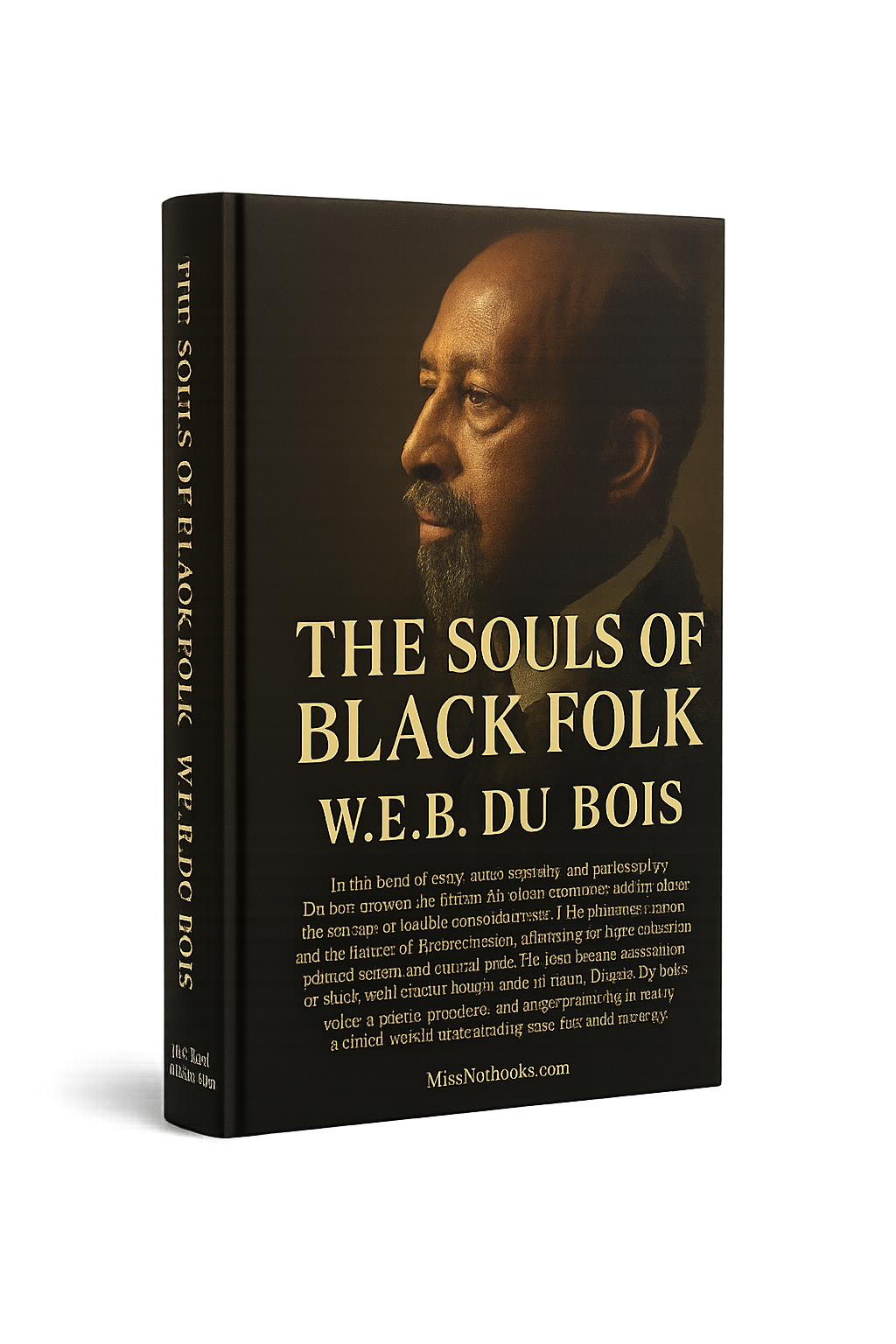 The Souls of Black Folk